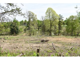 Property photo 61 - LAND AUCTION - 1,682+/- ACRES OFFERED IN 17 TRACTS IN LEWIS & GREENUP COUNTIES, KENTUCKY