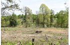 Property photo 61 - LAND AUCTION - 1,682+/- ACRES OFFERED IN 17 TRACTS IN LEWIS & GREENUP COUNTIES, KENTUCKY