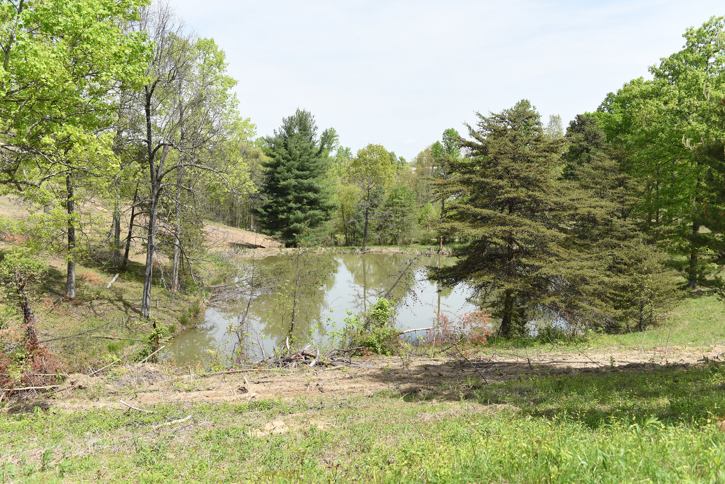 Property photo 74 - LAND AUCTION - 1,682+/- ACRES OFFERED IN 17 TRACTS IN LEWIS & GREENUP COUNTIES, KENTUCKY