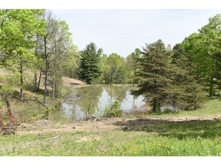 Property photo 74 - LAND AUCTION - 1,682+/- ACRES OFFERED IN 17 TRACTS IN LEWIS & GREENUP COUNTIES, KENTUCKY