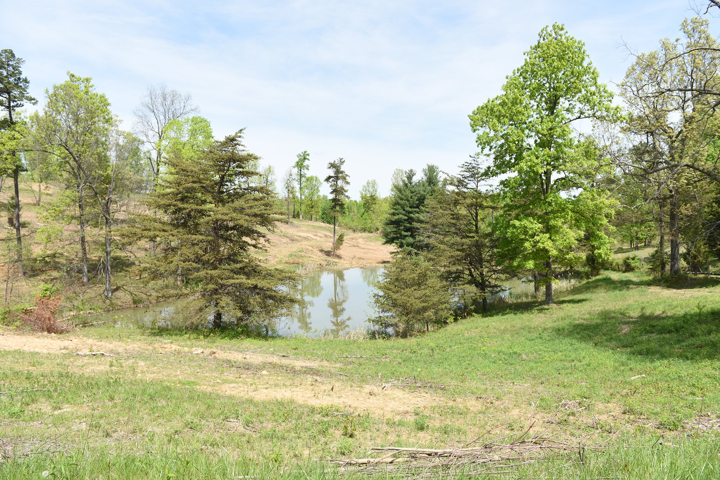 Property photo 68 - LAND AUCTION - 1,682+/- ACRES OFFERED IN 17 TRACTS IN LEWIS & GREENUP COUNTIES, KENTUCKY