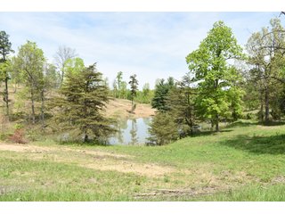 Property photo 68 - LAND AUCTION - 1,682+/- ACRES OFFERED IN 17 TRACTS IN LEWIS & GREENUP COUNTIES, KENTUCKY