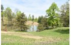Property photo 68 - LAND AUCTION - 1,682+/- ACRES OFFERED IN 17 TRACTS IN LEWIS & GREENUP COUNTIES, KENTUCKY