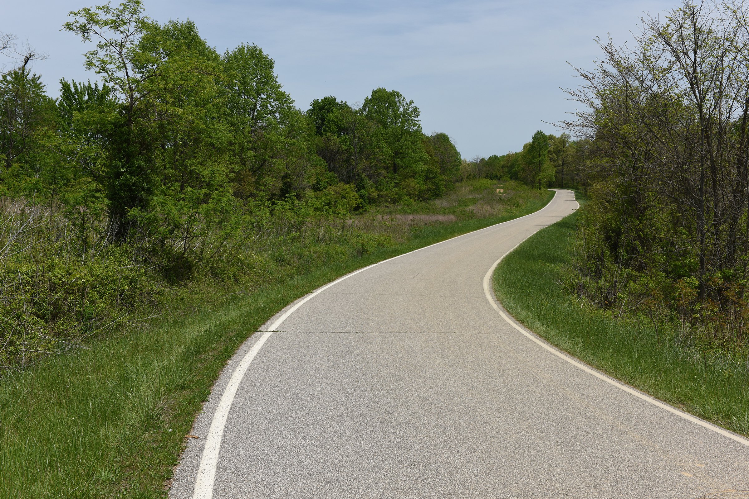 Property photo 62 - LAND AUCTION - 1,682+/- ACRES OFFERED IN 17 TRACTS IN LEWIS & GREENUP COUNTIES, KENTUCKY