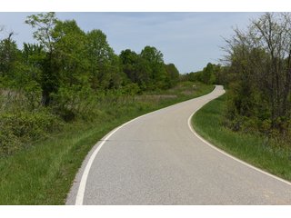 Property photo 62 - LAND AUCTION - 1,682+/- ACRES OFFERED IN 17 TRACTS IN LEWIS & GREENUP COUNTIES, KENTUCKY