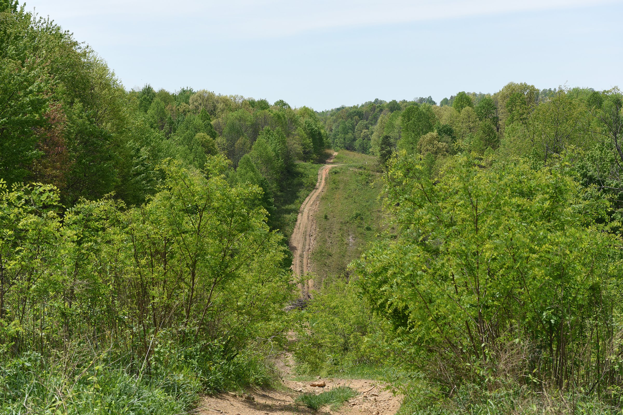 Property photo 69 - LAND AUCTION - 1,682+/- ACRES OFFERED IN 17 TRACTS IN LEWIS & GREENUP COUNTIES, KENTUCKY