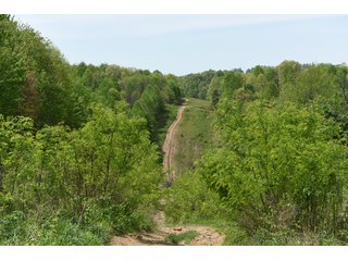 Property photo 69 - LAND AUCTION - 1,682+/- ACRES OFFERED IN 17 TRACTS IN LEWIS & GREENUP COUNTIES, KENTUCKY
