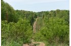 Property photo 69 - LAND AUCTION - 1,682+/- ACRES OFFERED IN 17 TRACTS IN LEWIS & GREENUP COUNTIES, KENTUCKY