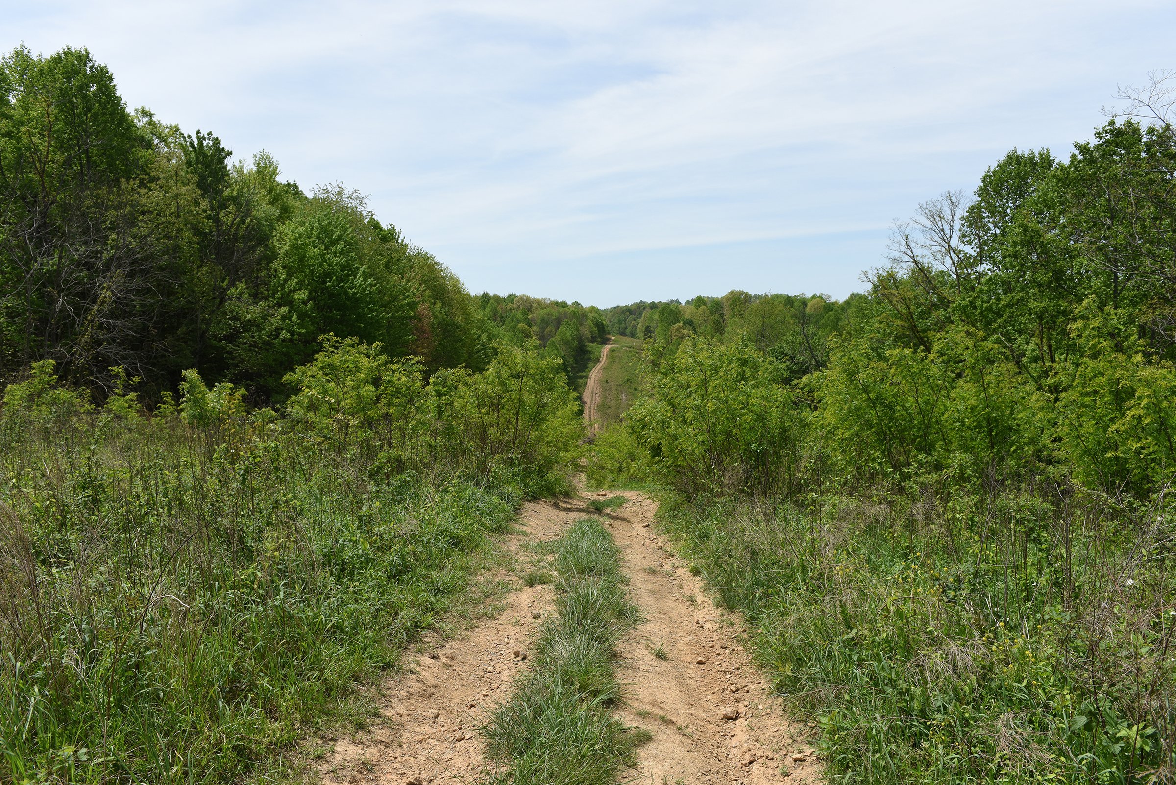 Property photo 72 - LAND AUCTION - 1,682+/- ACRES OFFERED IN 17 TRACTS IN LEWIS & GREENUP COUNTIES, KENTUCKY
