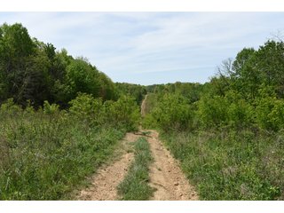 Property photo 72 - LAND AUCTION - 1,682+/- ACRES OFFERED IN 17 TRACTS IN LEWIS & GREENUP COUNTIES, KENTUCKY