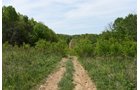 Property photo 72 - LAND AUCTION - 1,682+/- ACRES OFFERED IN 17 TRACTS IN LEWIS & GREENUP COUNTIES, KENTUCKY