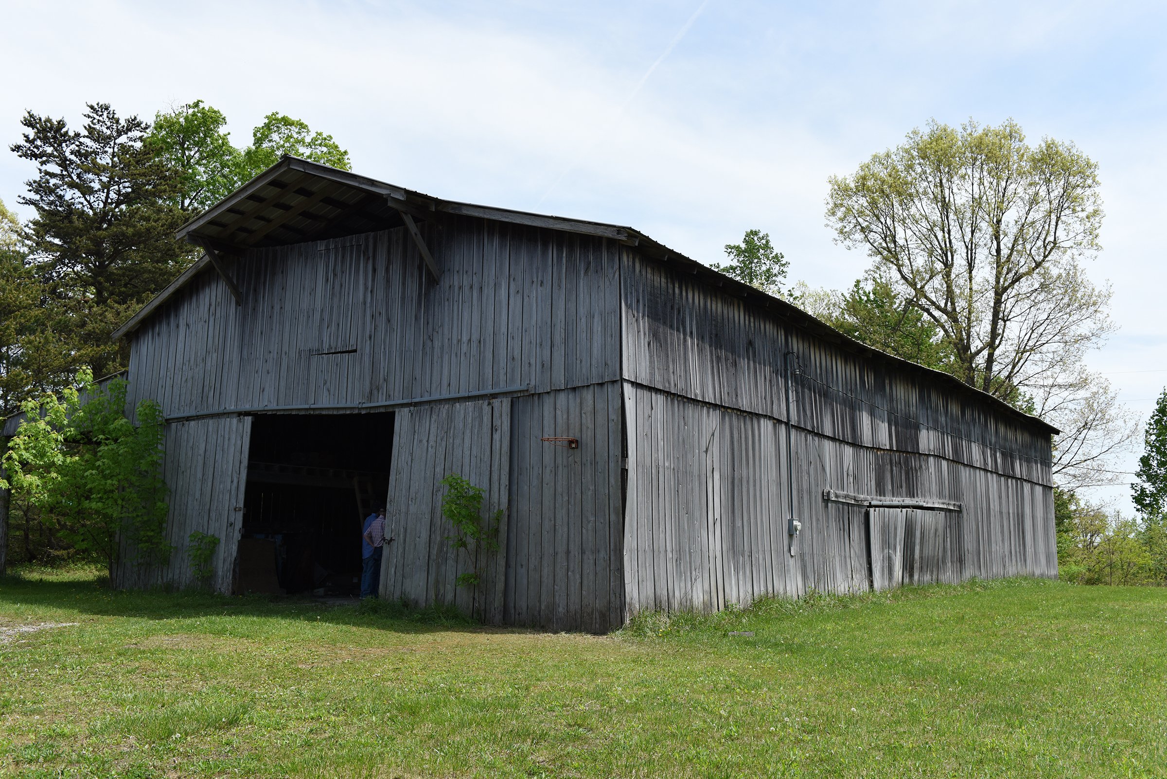 Property photo 56 - LAND AUCTION - 1,682+/- ACRES OFFERED IN 17 TRACTS IN LEWIS & GREENUP COUNTIES, KENTUCKY