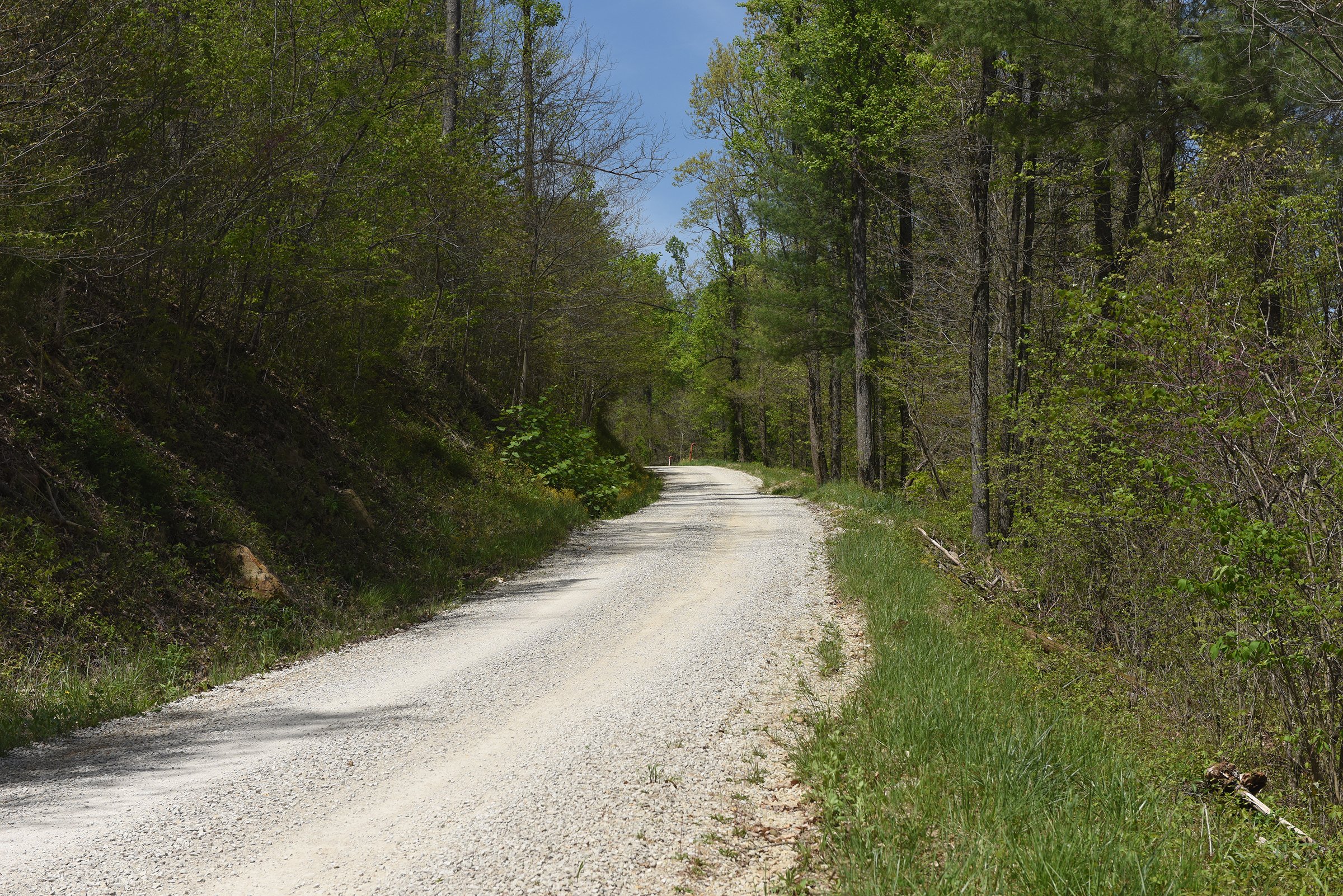 Property photo 66 - LAND AUCTION - 1,682+/- ACRES OFFERED IN 17 TRACTS IN LEWIS & GREENUP COUNTIES, KENTUCKY