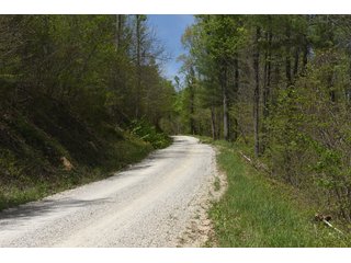 Property photo 66 - LAND AUCTION - 1,682+/- ACRES OFFERED IN 17 TRACTS IN LEWIS & GREENUP COUNTIES, KENTUCKY