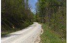 Property photo 66 - LAND AUCTION - 1,682+/- ACRES OFFERED IN 17 TRACTS IN LEWIS & GREENUP COUNTIES, KENTUCKY