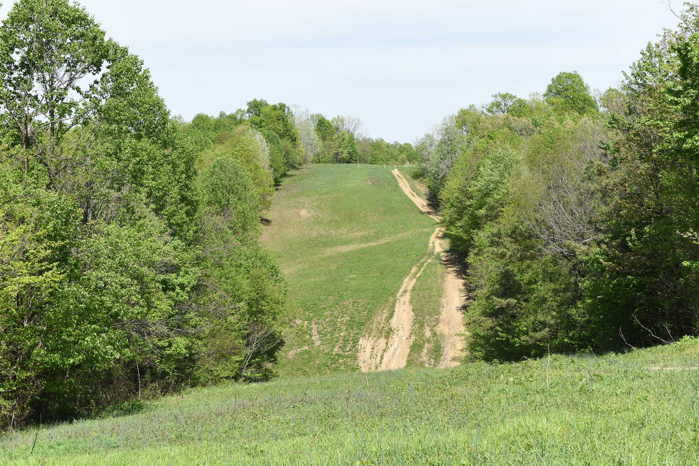 Property photo 64 - LAND AUCTION - 1,682+/- ACRES OFFERED IN 17 TRACTS IN LEWIS & GREENUP COUNTIES, KENTUCKY