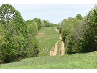 Property photo 64 - LAND AUCTION - 1,682+/- ACRES OFFERED IN 17 TRACTS IN LEWIS & GREENUP COUNTIES, KENTUCKY