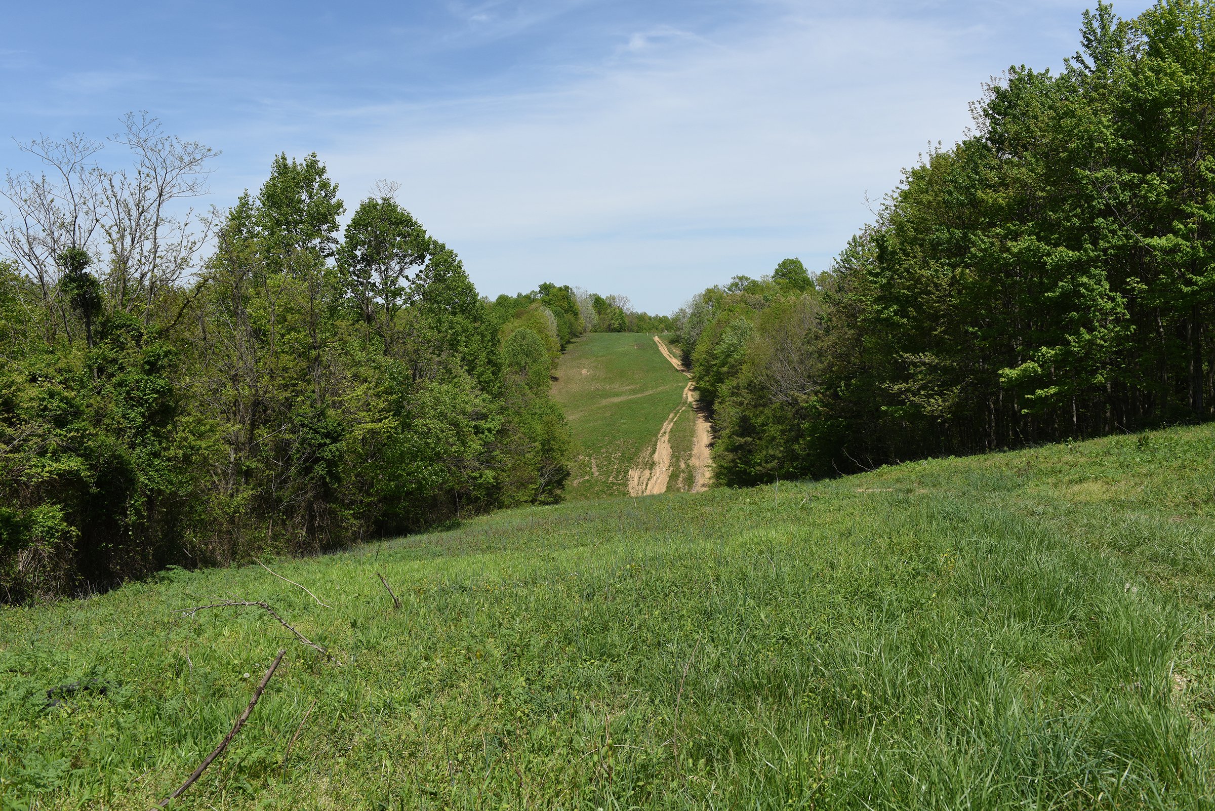 Property photo 60 - LAND AUCTION - 1,682+/- ACRES OFFERED IN 17 TRACTS IN LEWIS & GREENUP COUNTIES, KENTUCKY