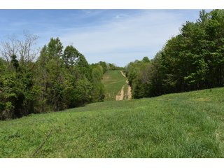 Property photo 60 - LAND AUCTION - 1,682+/- ACRES OFFERED IN 17 TRACTS IN LEWIS & GREENUP COUNTIES, KENTUCKY