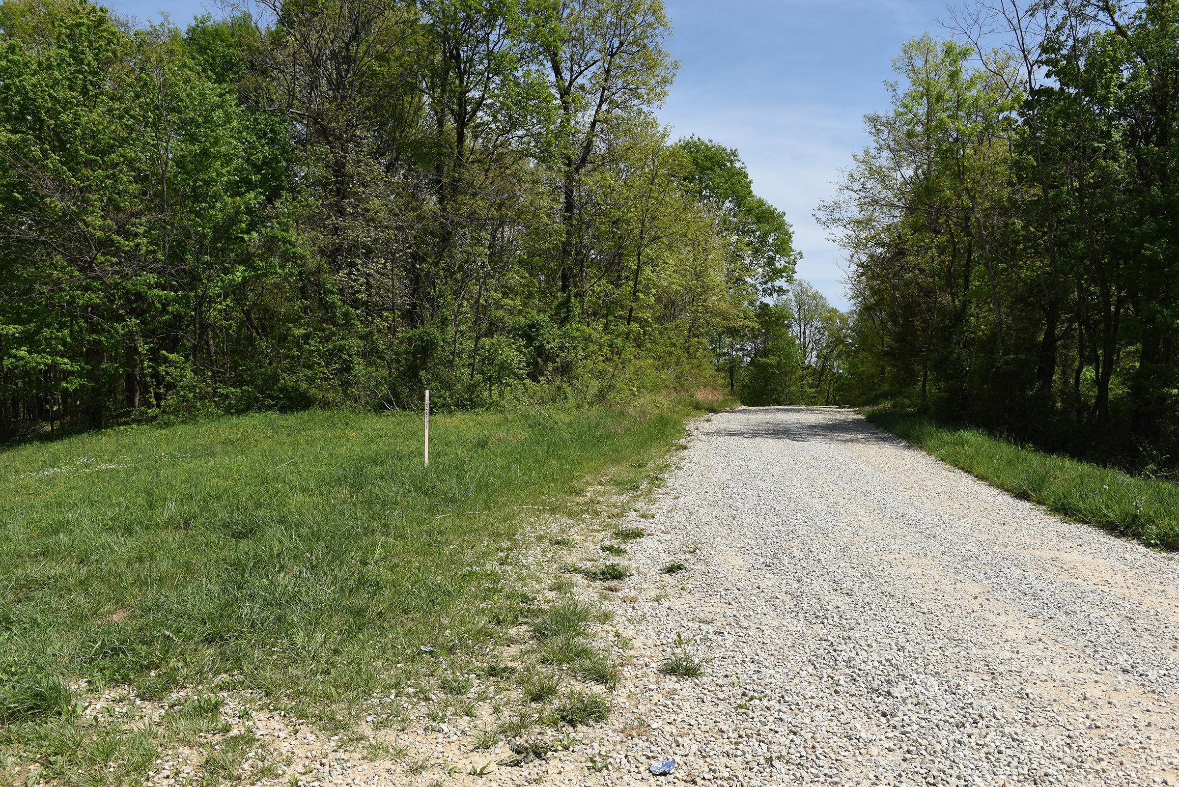 Property photo 73 - LAND AUCTION - 1,682+/- ACRES OFFERED IN 17 TRACTS IN LEWIS & GREENUP COUNTIES, KENTUCKY