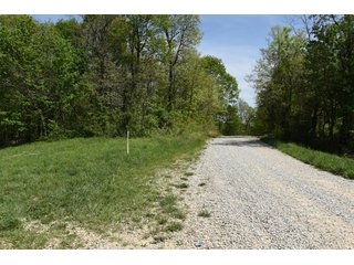 Property photo 73 - LAND AUCTION - 1,682+/- ACRES OFFERED IN 17 TRACTS IN LEWIS & GREENUP COUNTIES, KENTUCKY