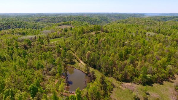 LAND AUCTION - 1,682+/- ACRES OFFERED IN 17 TRACTS IN LEWIS & GREENUP COUNTIES, KENTUCKY