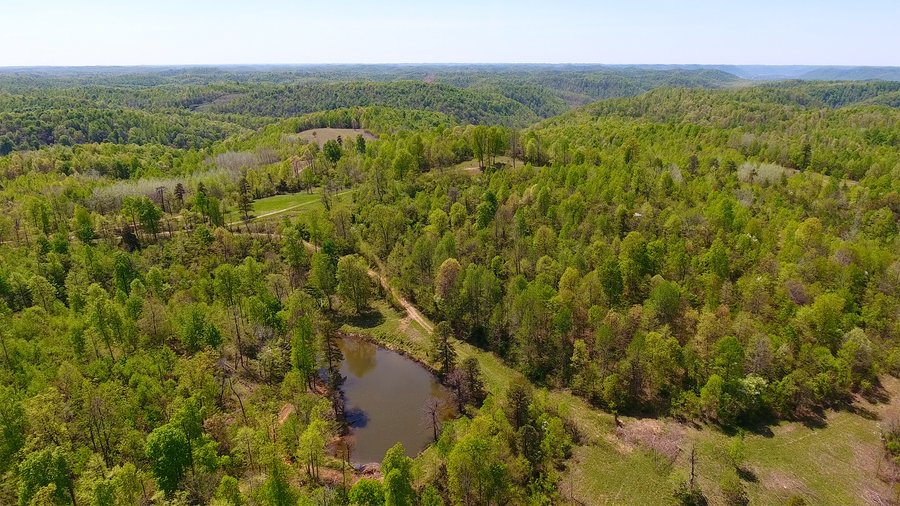LAND AUCTION - 1,682+/- ACRES OFFERED IN 17 TRACTS IN LEWIS & GREENUP COUNTIES, KENTUCKY