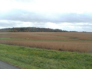 Property photo 20 - IMPORTANT INDIANA LAND AUCTION - 346+/- ACRES - 3 FARMS OFFERED IN 9 TRACTS IN WAYNE COUNTY, INDIANA