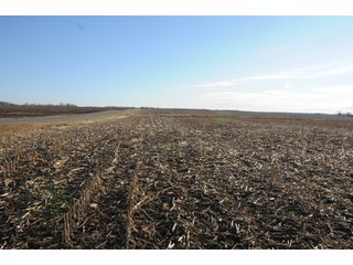 Property photo 106 - MAJOR ILLINOIS LAND AUCTION - 809+/- ACRES IN 12 TRACTS IN PIATT COUNTY, ILLINOIS
