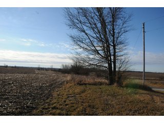 Property photo 93 - MAJOR ILLINOIS LAND AUCTION - 809+/- ACRES IN 12 TRACTS IN PIATT COUNTY, ILLINOIS