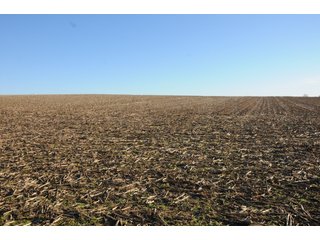 Property photo 169 - MAJOR ILLINOIS LAND AUCTION - 809+/- ACRES IN 12 TRACTS IN PIATT COUNTY, ILLINOIS
