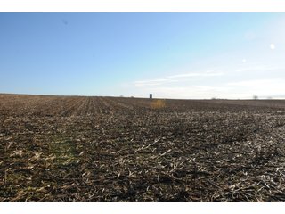 Property photo 120 - MAJOR ILLINOIS LAND AUCTION - 809+/- ACRES IN 12 TRACTS IN PIATT COUNTY, ILLINOIS