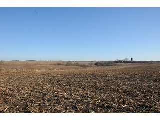 Property photo 161 - MAJOR ILLINOIS LAND AUCTION - 809+/- ACRES IN 12 TRACTS IN PIATT COUNTY, ILLINOIS