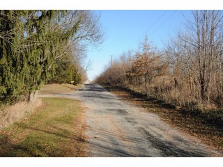 Property photo 138 - MAJOR ILLINOIS LAND AUCTION - 809+/- ACRES IN 12 TRACTS IN PIATT COUNTY, ILLINOIS
