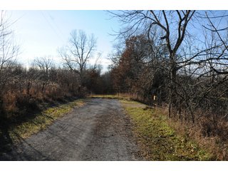 Property photo 179 - MAJOR ILLINOIS LAND AUCTION - 809+/- ACRES IN 12 TRACTS IN PIATT COUNTY, ILLINOIS