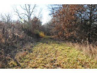 Property photo 131 - MAJOR ILLINOIS LAND AUCTION - 809+/- ACRES IN 12 TRACTS IN PIATT COUNTY, ILLINOIS