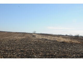 Property photo 111 - MAJOR ILLINOIS LAND AUCTION - 809+/- ACRES IN 12 TRACTS IN PIATT COUNTY, ILLINOIS
