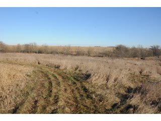 Property photo 109 - MAJOR ILLINOIS LAND AUCTION - 809+/- ACRES IN 12 TRACTS IN PIATT COUNTY, ILLINOIS