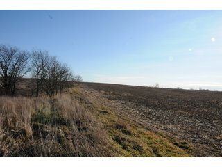 Property photo 89 - MAJOR ILLINOIS LAND AUCTION - 809+/- ACRES IN 12 TRACTS IN PIATT COUNTY, ILLINOIS