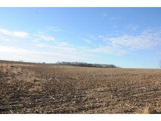 Property photo 171 - MAJOR ILLINOIS LAND AUCTION - 809+/- ACRES IN 12 TRACTS IN PIATT COUNTY, ILLINOIS