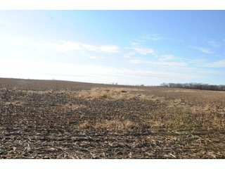 Property photo 96 - MAJOR ILLINOIS LAND AUCTION - 809+/- ACRES IN 12 TRACTS IN PIATT COUNTY, ILLINOIS