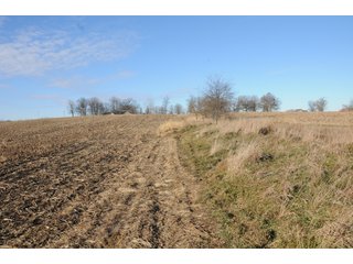 Property photo 83 - MAJOR ILLINOIS LAND AUCTION - 809+/- ACRES IN 12 TRACTS IN PIATT COUNTY, ILLINOIS