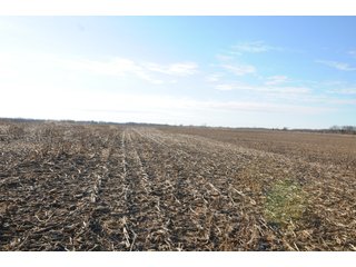 TRACT 11 - MAJOR ILLINOIS LAND AUCTION - 809+/- ACRES IN 12 TRACTS IN PIATT COUNTY, ILLINOIS