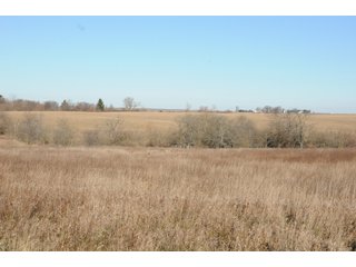 Property photo 160 - MAJOR ILLINOIS LAND AUCTION - 809+/- ACRES IN 12 TRACTS IN PIATT COUNTY, ILLINOIS