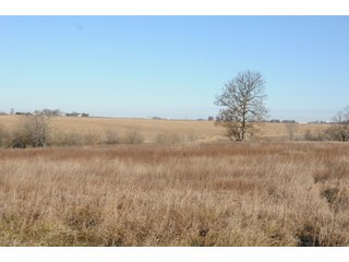 Property photo 150 - MAJOR ILLINOIS LAND AUCTION - 809+/- ACRES IN 12 TRACTS IN PIATT COUNTY, ILLINOIS
