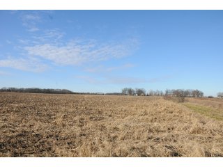 Property photo 173 - MAJOR ILLINOIS LAND AUCTION - 809+/- ACRES IN 12 TRACTS IN PIATT COUNTY, ILLINOIS