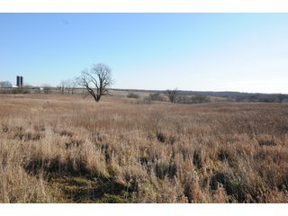 Property photo 97 - MAJOR ILLINOIS LAND AUCTION - 809+/- ACRES IN 12 TRACTS IN PIATT COUNTY, ILLINOIS