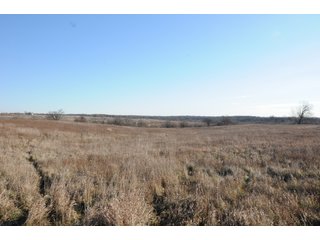 Property photo 95 - MAJOR ILLINOIS LAND AUCTION - 809+/- ACRES IN 12 TRACTS IN PIATT COUNTY, ILLINOIS