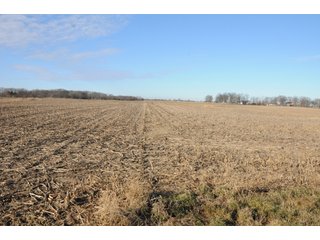 Property photo 118 - MAJOR ILLINOIS LAND AUCTION - 809+/- ACRES IN 12 TRACTS IN PIATT COUNTY, ILLINOIS