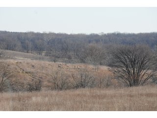 Property photo 136 - MAJOR ILLINOIS LAND AUCTION - 809+/- ACRES IN 12 TRACTS IN PIATT COUNTY, ILLINOIS